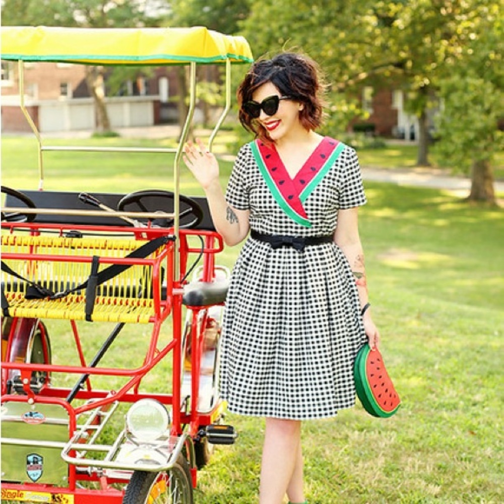 NWOT Vintage ModCloth watermelon picnic dress 🍉